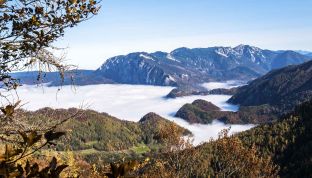 Ausblick beim Wandern am Wolfgangsee im Herbst