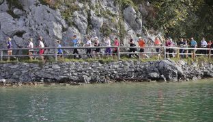 Menschen beim 5km Panorama-Lauf am Wolfgangsee©️ Wolfgangseelauf