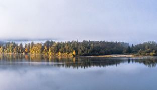 Wolfgangsee im Herbst mit Nebel
