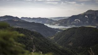 Seeblick bei Wanderung im Wanderurlaub im Salzkammergut