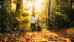 Paar spaziert im herbstlichen Wald am Wolfgangsee